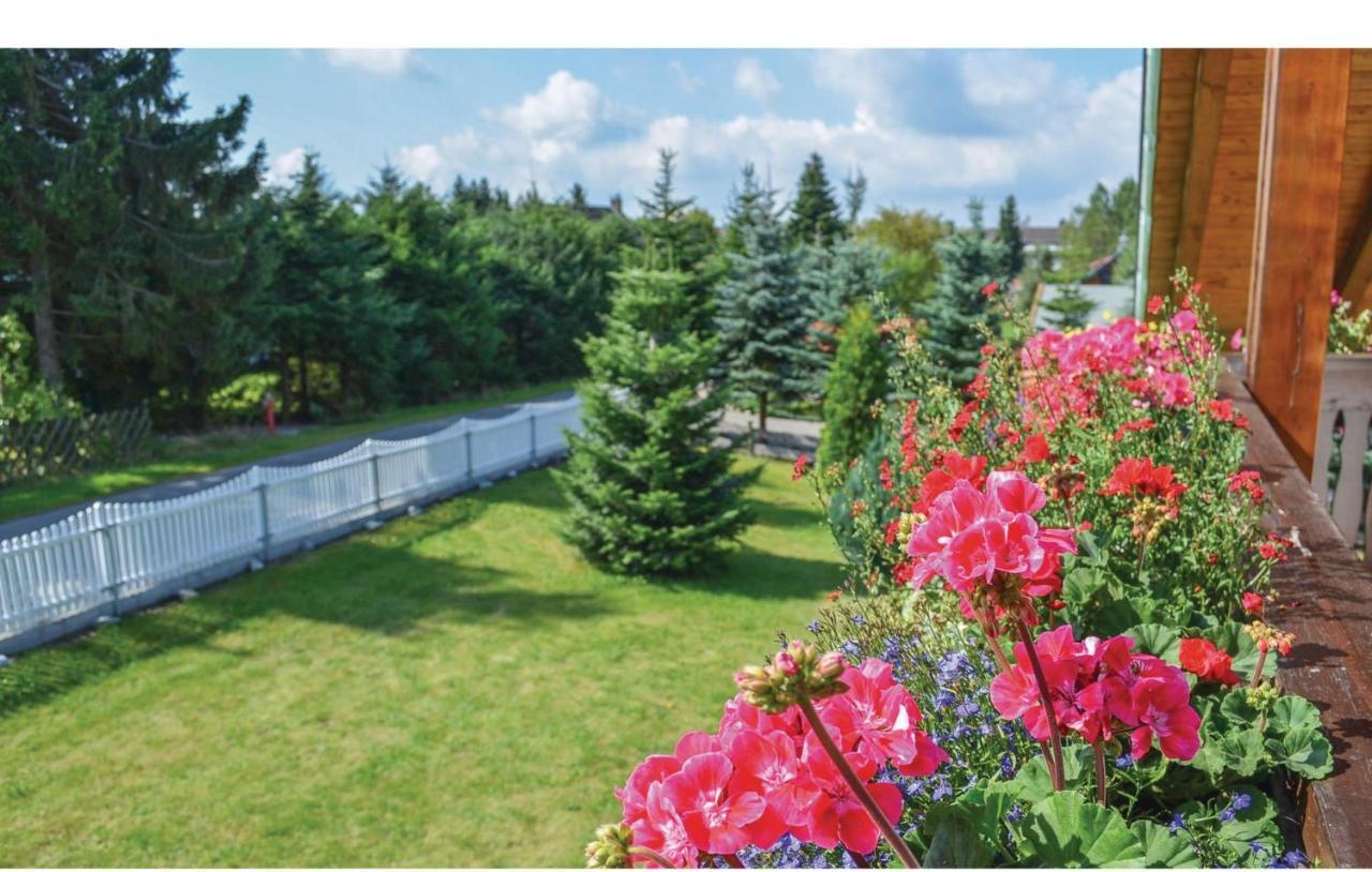Galerie Haus Villa Braunlage Dış mekan fotoğraf